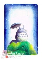 Totoro 014